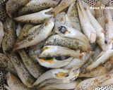 A picture of step 1 of Braised Goby Fish in Clay Pot.