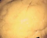 A picture of step 5 of Meat-pie dough.