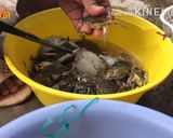 Hình bước làm 1 của món Ghẹ Rang Me