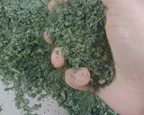 A picture of step 5 of Moringa leaves Powder.