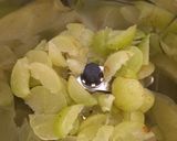 A picture of step 1 of Amla Juice.