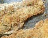 Foto del paso 3 de la receta: Milanesas de berenjena