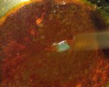 Foto langkah ke 3 dari resep Gulai Ayam (dan Nangka) Sat Set.