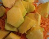 Foto del paso 3 de la receta: Sopa de zanahoria y zapallo