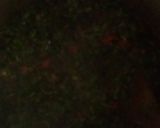 A picture of step 2 of Afang soup.