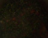 A picture of step 2 of Afang soup.