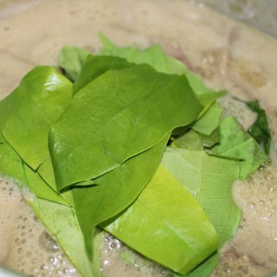 Langkah 4