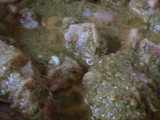 Pudinewalla Chicken