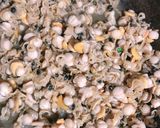 Hình bước làm 2 của món Shell xào chua ngọt