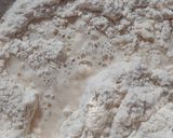 A picture of step 1 of Gobhi Pyaz Paratha.