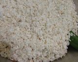 Foto langkah ke 1 dari resep Ketan susu keju.