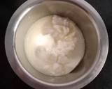 Blackcurrant Frozen Yoghurt Ice cream recipe step 1 photo