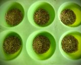 Foto del paso 1 de la receta Minitartitas de queso (sin horno)