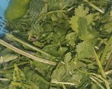 A picture of step 1 of Green Chutney 💚.