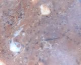 A picture of step 7 of Restaurant style Dal Makhani.