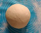 Foto langkah ke 1 dari resep Dough Pizza empuk ekonomis (frozen).