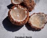 Cara Membuat Mochi Kelapa  Miniatur Kelapa 8