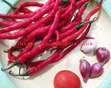 Foto langkah ke 1 dari resep TELOR PETE balado.
