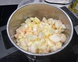 Polish Apple Strudel (Strudel jabłkowy) 波兰苹果馅饼的食譜步驟1照片