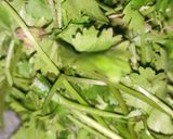 हरी चटनी (Hari chutney recipe in hindi) रेसिपी चरण 1 फोटो