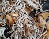 Foto del paso 3 de la receta: Ensalada de gulas templadas y mango