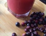 A picture of step 3 of Falsa juice.
