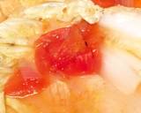 番茄洋蔥燉大白菜食譜步驟4照片