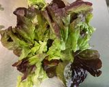 Une image de l'étape 2 de Salade composée au concombre, tomates, feuille de chêne et oignon rouge.