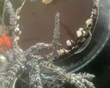 Une image de l'étape 8 de 🥄Fondant chocolat 🍫 et son glaçage miroir 🪞.