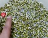 સ્પ્રાઉટ નું શાક(Sprouts Shaak Recipe in Gujarati) રેસીપી સ્ટેપ3ફોટો