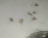 A picture of step 6 of Dailya.