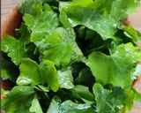 A picture of step 6 of Tri colour chutney (Carrot,Coconut,Green leaves).
