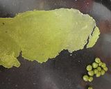 A picture of step 3 of Broad beans shaped mathri.