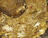 A picture of step 2 of Chicken Shami kabab 😋.