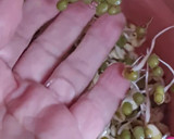 Foto del paso 6 de la receta: Brotes de mungo (mal llamados brotes de soja) 🌱 🫘
