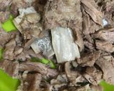 Foto langkah ke 1 dari resep Soto Daging Sapi.