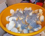 Mákosguba torta recept fázis 2 fotója