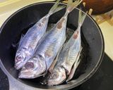 紅燒竹莢魚的食譜步驟2照片