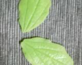 Φύλλα από ζαχαρόπαστα φωτογραφία βήματος 3