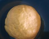 Foto del paso 7 de la receta: Ciabatta