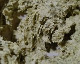 Foto del paso 6 de la receta: Relleno de ALFAJORES DE PISTACHO