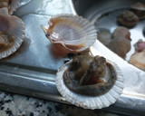 Foto del paso 1 de la receta: Volandeiras con jamón