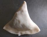 A picture of step 4 of Punjabi samosa.