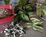 Foto del paso 2 de la receta: Mate Cocido Casero