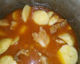 A picture of step 9 of Chicken qorma aloo.