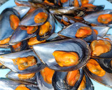 Foto del paso 1 de la receta: Gallineta en salsa ligera