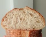 Foto langkah ke 26 dari resep Basic Sourdough Bread 72% (Open Bake Method - Oven Tangkring).