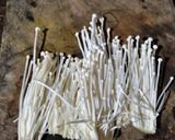 Foto langkah ke 1 dari resep 38. Enoki crispy lada hitam.