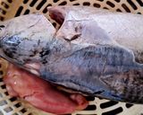 Hình bước làm 1 của món Cá ngừ hấp