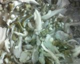 Foto del paso 3 de la receta: Setas con nopales